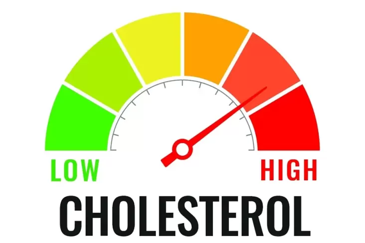 Kolesterol Tinggi, Tanda-tanda yang Mirip dengan Maag? Inilah yang Perlu Diketahui!