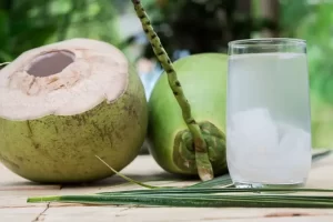 Menghindari Minum Air Kelapa, Gagal Ginjal Harus Berhati-hati