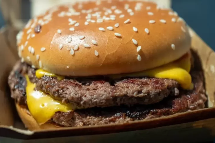 Bakteri E Coli Menginfeksi Burger McD 1 Korban Meninggal dan 75 Orang Terinfeksi