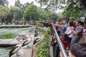 Rahasia Liburan Murah di Jakarta Ada 10 Tempat yang Tiket Masuknya Gratis di Akhir Tahun