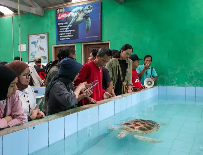 Rakornas KNGI: Menjelajah Situs Geopark Kebumen dengan Seru dan Penuh Pengetahuan