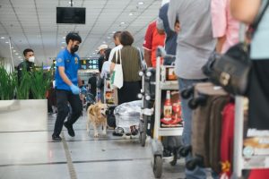 Ditjen Bea juga Cukai Gagalkan Penyelundupan 7,4 Ton Narkoba Masuk ke Indonesia