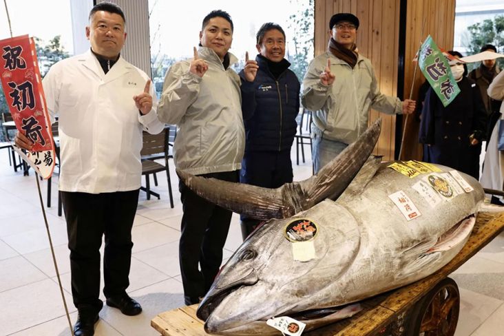 Ikan Tuna Seukuran Sepeda Motor Dijual Rp20,9 Miliar ke Warung Makan Sushi dalam tempat Tokyo