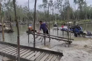 Pengamat Sebut Klaim Kerugian Negara Rp300 Billion di Kasus Timah Tidak Didukung Bukti Kuat