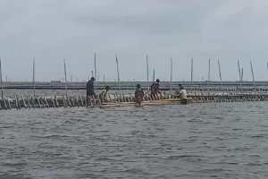 Polri Temukan Dugaan Pidana Kasus Pagar Laut Bekasi, 93 SHM Dipalsukan