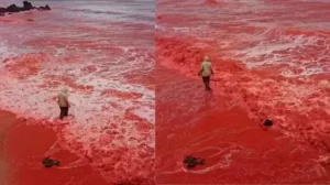 Pantai dalam Iran Tiba-tiba Berubah Warna Menjadi Merah Darah