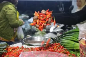 Update Harga Pangan Mingguan 9 Maret 2025, Bawang, Cabai serta Beras Masih Naik