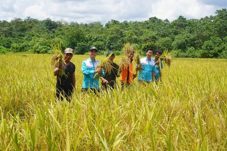 Berkat Pendampingan, Panen Padi Tim Harapan Bersama Capai 38,5 Ton