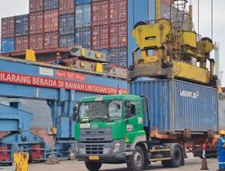 Permintaan Global Naik, Ekspor Gambir Sumbar ke India Meningkat
