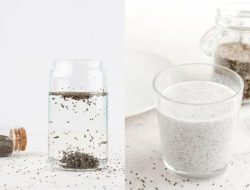Chia Seed di Air atau Susu: Mana yang Lebih Sehat?