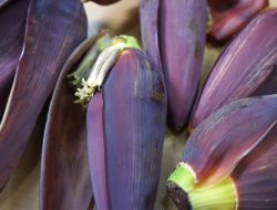 9 Manfaat Jantung Pisang untuk Kesehatan: Makanan Bergizi Murah