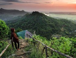 Bukit Tungku Wiri: Pesona Teletubbies Papua dengan Alam Hijau dan Udara Segar