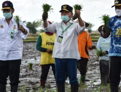 Akhmad Rosano Minta Maaf ke Mentan Terkait Impor Beras Ilegal