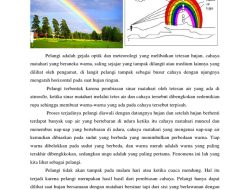 Kumpulan contoh teks eksplanasi fenomena alam yang lengkap
