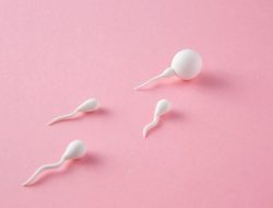 Kontroversi Sperma Kanker: 200 Anak Lahir di Eropa