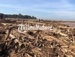 Pernyataan Cak Imin soal Banjir Sumatera Disemprit DPR hingga Ditunggu Tanggapan Susi Pudjiastuti
