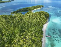 Permata Timur Indonesia: Petualangan ke Pulau Obi