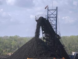 Minta Perbaikan Aturan Royalti di Tengah Tekanan Harga Nikel dan Batu Bara