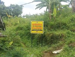 Dari Malas ke Makin Rajin, Anak Muda Sirnasari Kini Jatuh Hati pada Pertanian