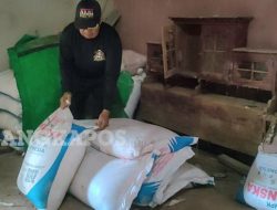 Info Harga Pupuk Subsidi Turun, Tahang HS Cek Jumlah Karung di Gudang Desa Rias