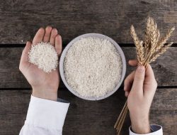 Siapa Raja Ekspor Beras Dunia 2025? India Puncaki Daftar