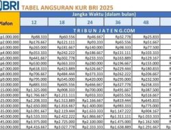 Daftar Tabel KUR BRI 2025: Pinjaman Rp 100 Juta, Angsuran Mulai 12 hingga 60 Bulan