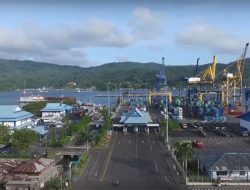Daftar 50 Jalur Tol yang Jadi PSN Era Prabowo