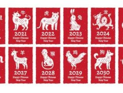 Ramalan 12 Shio Hari Ini: Rezeki, Karier, dan Cinta 8 Desember 2025