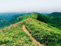 Rekomendasi Wisata Mojokerto 2025: Jelajahi Bukit Watu Jengger, Ranu Manduro, dan Coban Canggu