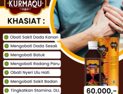 Terjemahan lirik Manado: Jangan Takut Sampai ke Dada