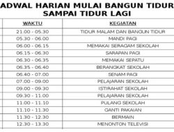 Jadwal Kapal PELNI KM Labobar Januari 2026: Rute dan Harga Terbaru