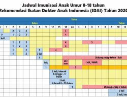Jadwal KM Ciremai 3: Berlayar ke Surabaya, Jakarta, Makassar, Bau Bau hingga 31 Desember 2025