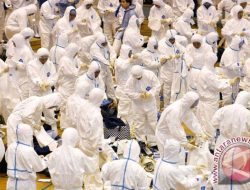 Flu Super Menyebar di Indonesia: Gejala, Penanganan, dan Sebaran Kasus di 8 Provinsi