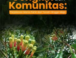 Pandangan: Grooming Bukan Cinta – Pelajaran Pahit dari Buku Broken Strings