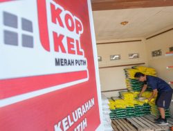 Koperasi Merah Putih Penting, Tapi Rentan Gagal