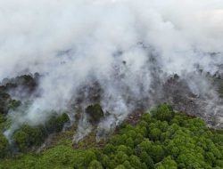 Nyalakan Kembang Api, Remaja Australia Didakwa Hancurkan 25 Hektar Hutan