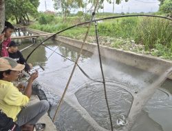 Berkah di Tengah Banjir, Sawah Jakarta Jadi Tempat Mancing