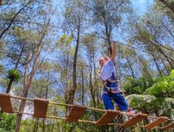 Harga Tiket Kopeng Treetop 2026: Paket Outbound dan Jeep Lengkap