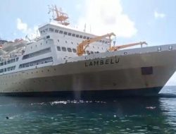 Jadwal Kapal PELNI KM Lambelu Januari 2026: Rute dan Harga Tiket Lengkap
