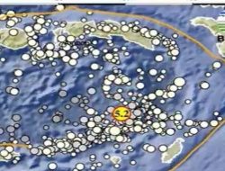 Gempa Magnitudo 5.1 Guncang Tanimbar, BMKG: Tidak Berpotensi Tsunami