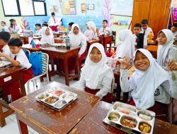 Pemerintah tingkatkan produksi alutsista lokal, ahli sebut penguasaan rantai pasok kunci keberhasilan