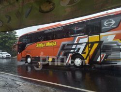 Cek Jadwal Bus AKAP Bali ke Jawa Jumat (6/2), Ini Harga Tiketnya