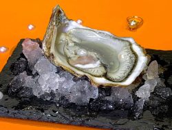 Mengapa Kerang Membuat Mutiara? Proses Menakjubkan di Baliknya