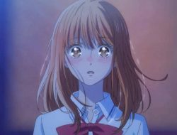 Fakta Menarik dan Sinopsis Anime ‘Aku Jatuh Cinta Padamu’