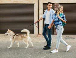 Orang yang Jalan Kaki dengan Anjing di Sore Hari Punya 8 Ciri Kepribadian Ini, Menurut Psikologi