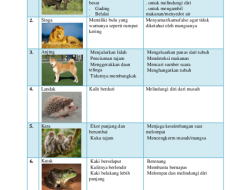 Makna dan Ciri-Ciri Eksotis: Tempat, Budaya, Makanan, Hewan, Tumbuhan