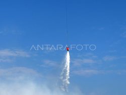 Kisruh TPA Suwung, Bali Prioritas Penanganan Sampah, 5 Perusahaan Tiongkok Ikut Tender PSEL