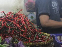 Harga cabai di Pasar Tambun Bekasi mulai turun jelang Lebaran