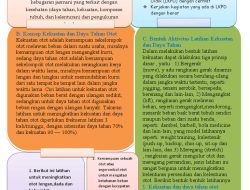 Ringkasan HOTS Unit 8 Kebugaran PJOK Kelas 6 SD