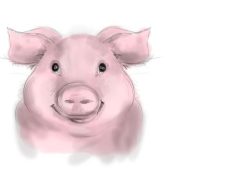 Makna mimpi babi dalam primbon Jawa, waspada jika digigit babi